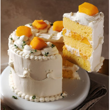 Cake Premix Mango - 4000g Cake Premix Mango - 4000g